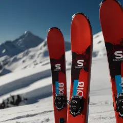 Czy narty Salomon S Force Bold są dla ciebie? Test dla ambitnych
