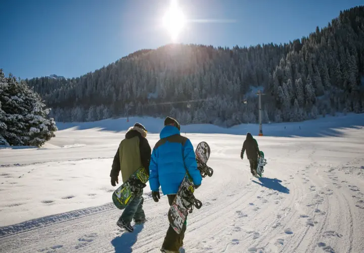 Trzech narciarzy idzie po śniegu z deskami snowboardowymi. Słońce świeci jasno nad ośnieżonym lasem. Idealny dzień na naukę jazdy na snowboardzie dla początkujących.