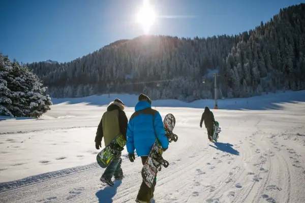 Trzech narciarzy idzie po śniegu z deskami snowboardowymi. Słońce świeci jasno nad ośnieżonym lasem. Idealny dzień na naukę jazdy na snowboardzie dla początkujących.